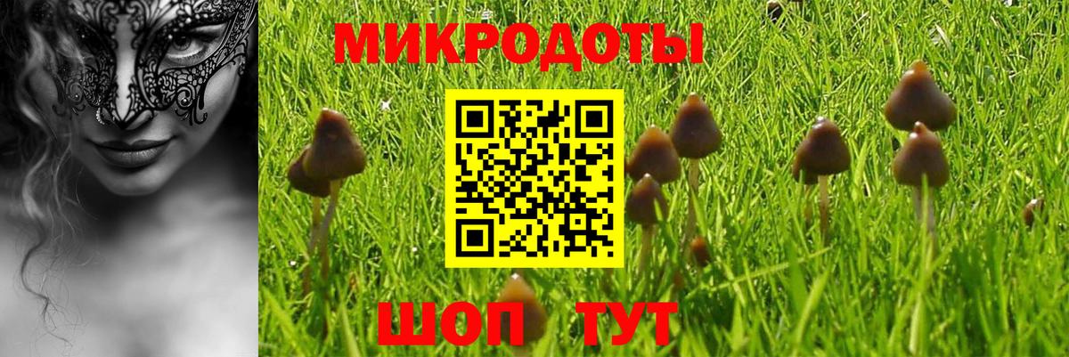 Псилоцибиновые грибы GOLDEN TEACHER Сальск